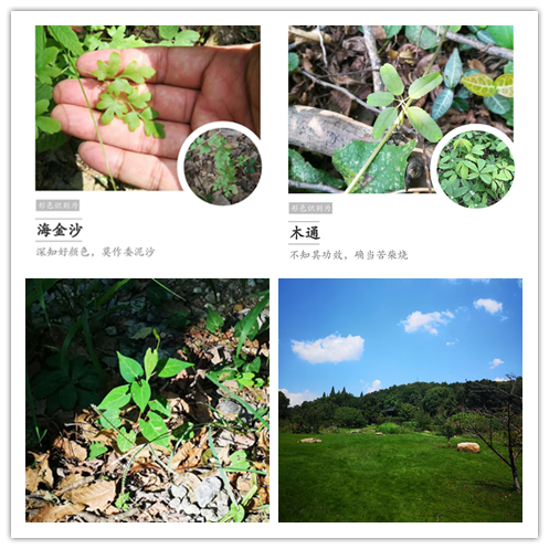 7.	培训体系