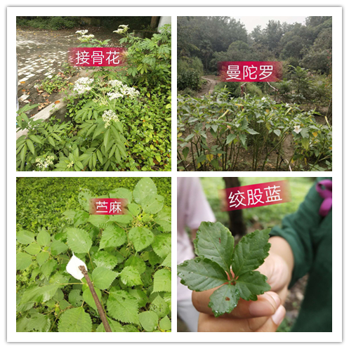 7.	培训体系